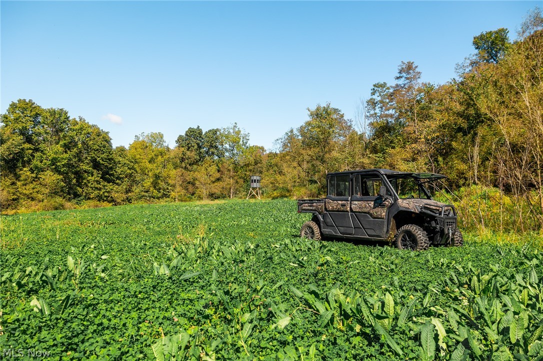 163 County Road 3 Rayland OH 43943