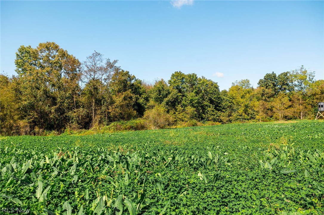 163 County Road 3 Rayland OH 43943