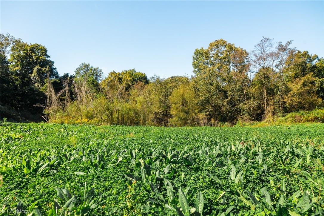 163 County Road 3 Rayland OH 43943