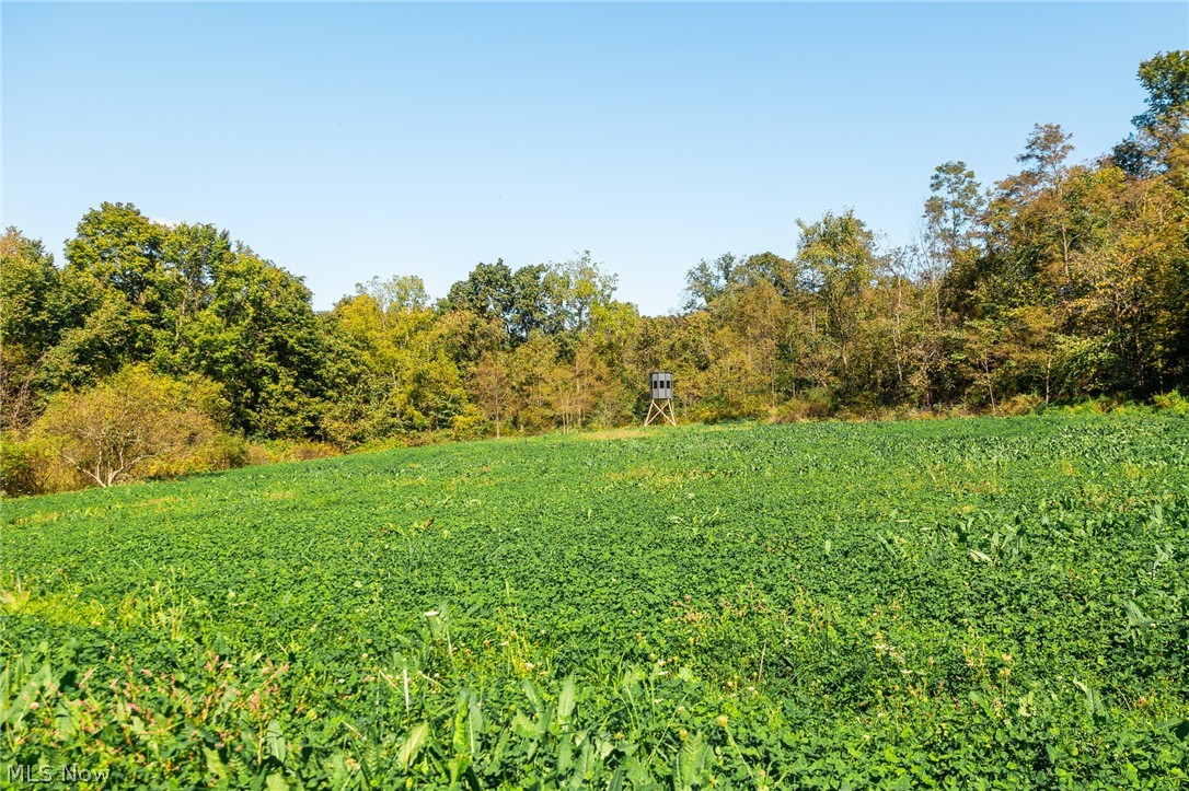 163 County Road 3 Rayland OH 43943