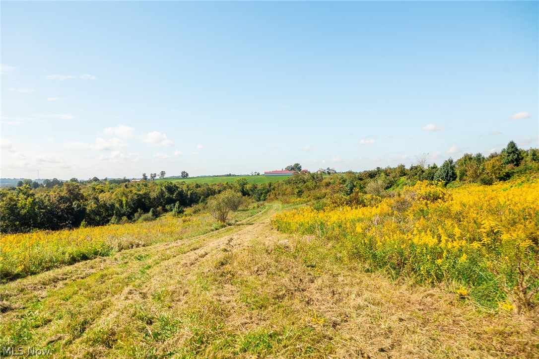 163 County Road 3 Rayland OH 43943