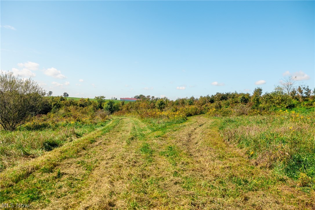 163 County Road 3 Rayland OH 43943
