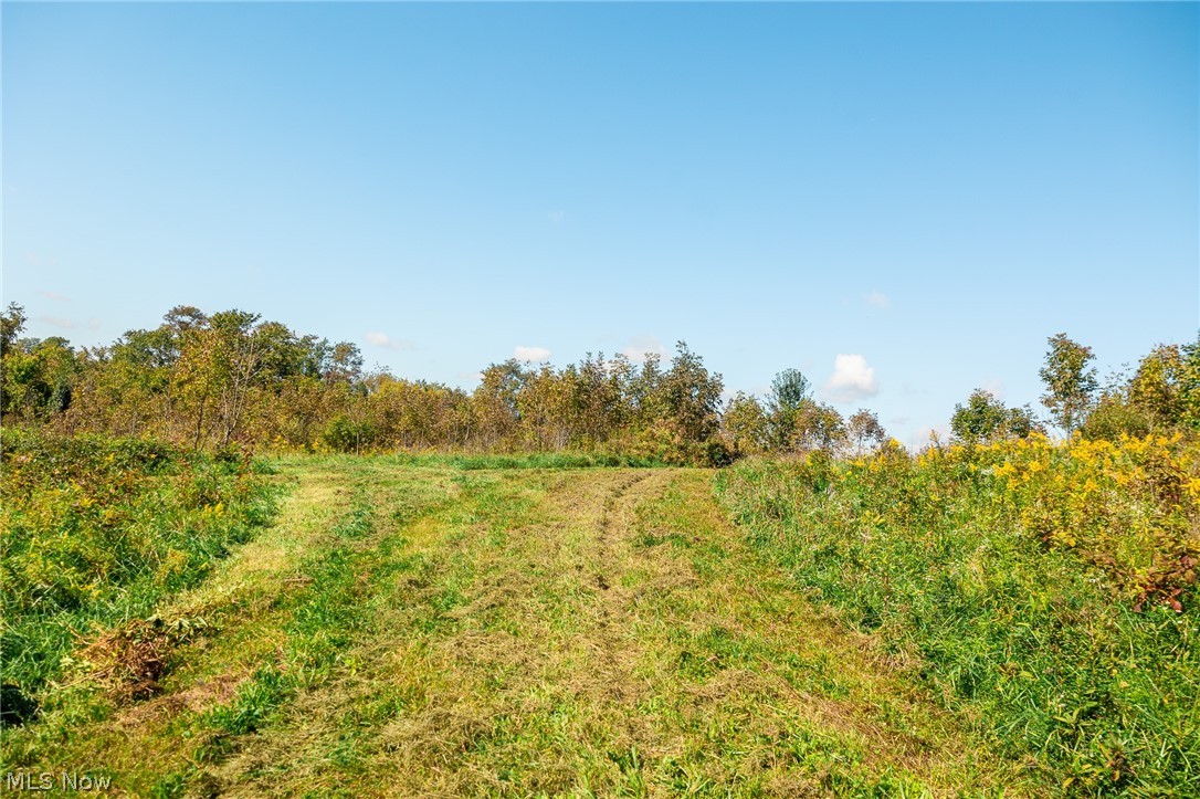 163 County Road 3 Rayland OH 43943
