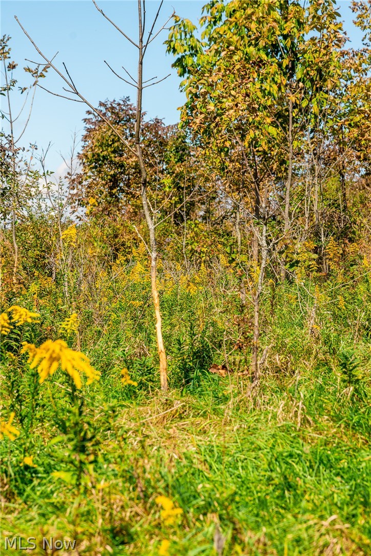 163 County Road 3 Rayland OH 43943