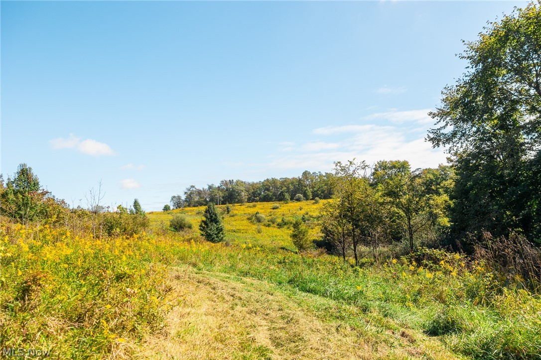 163 County Road 3 Rayland OH 43943