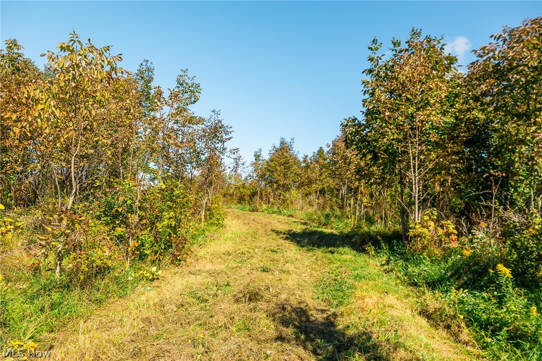 163 County Road 3 Rayland OH 43943