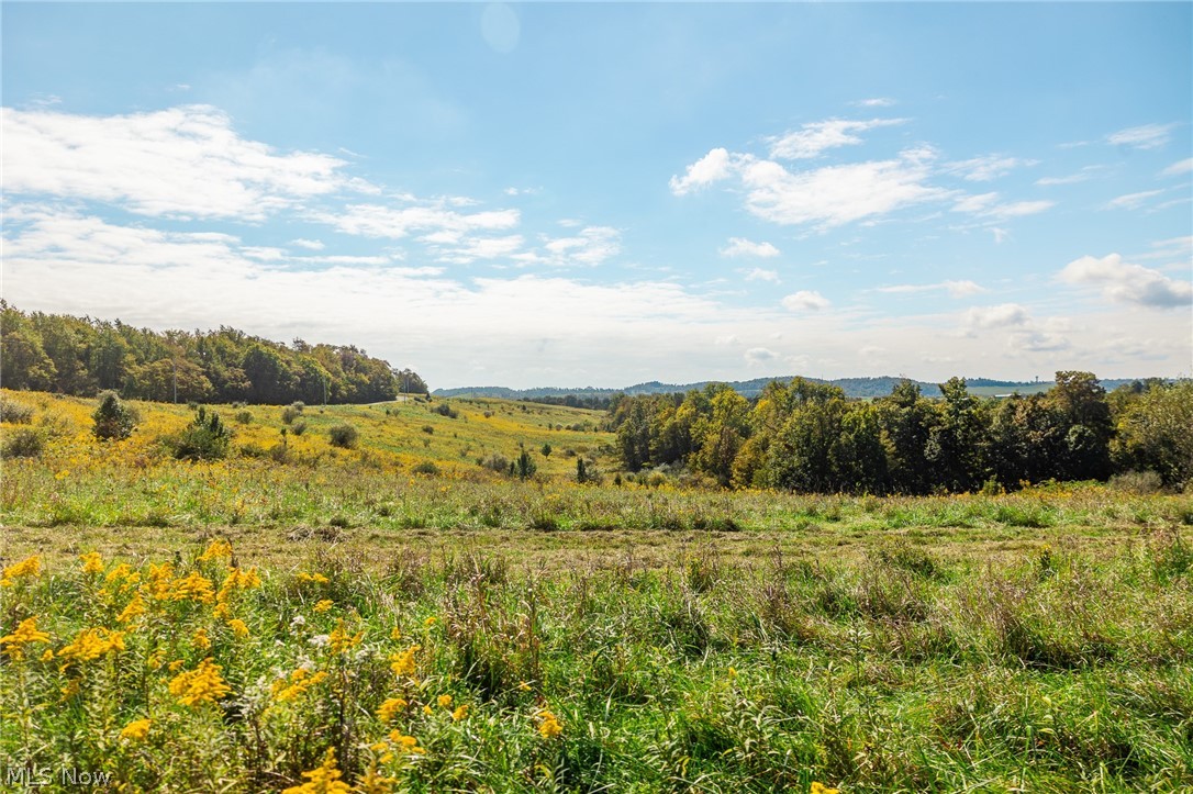 163 County Road 3 Rayland OH 43943