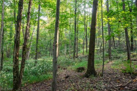 10772 Lawndell Road SW Navarre OH 44662