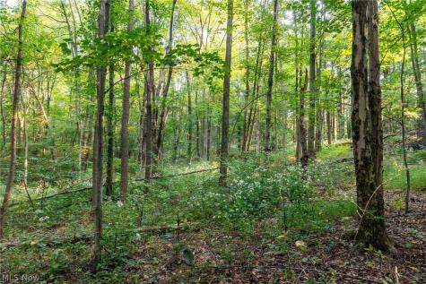 10772 Lawndell Road SW Navarre OH 44662