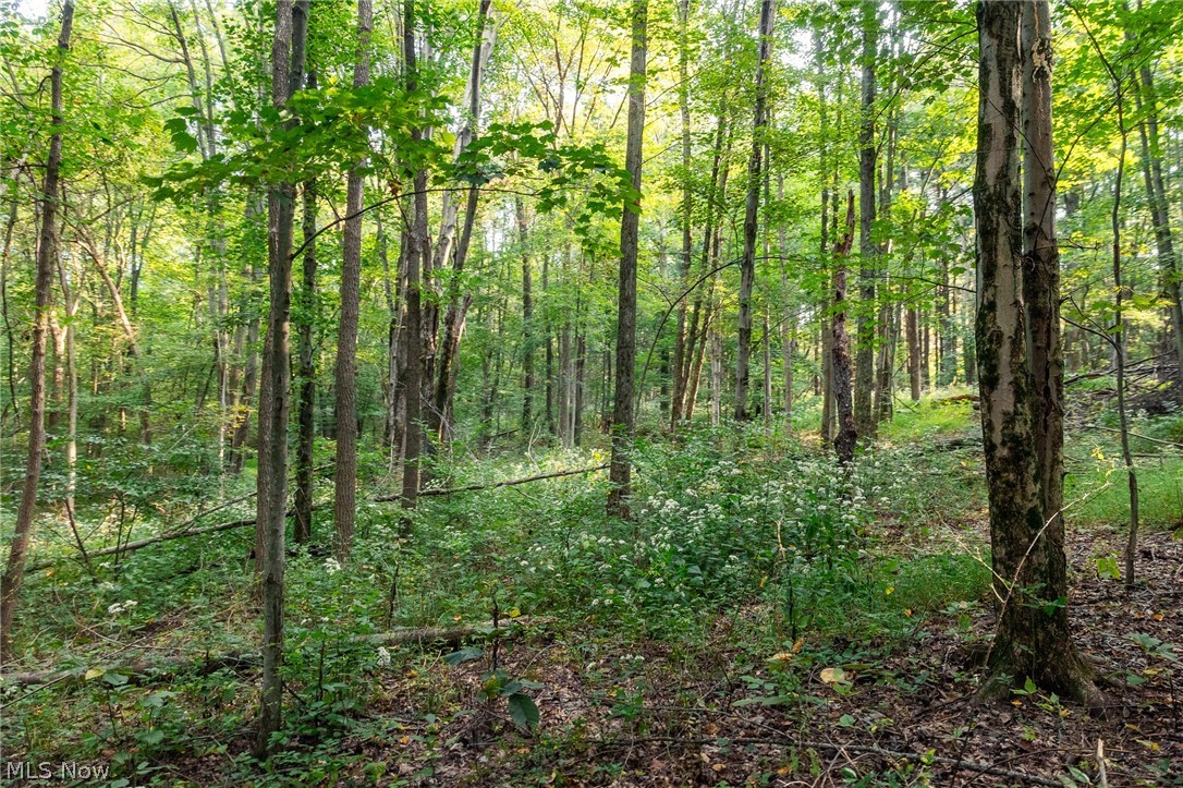10772 Lawndell Road SW Navarre OH 44662