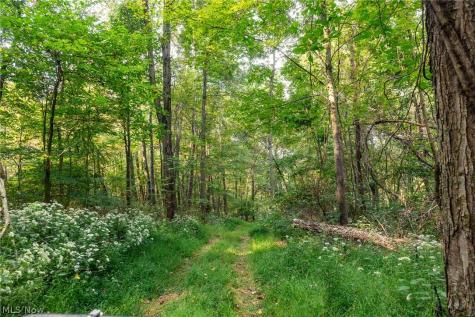10772 Lawndell Road SW Navarre OH 44662