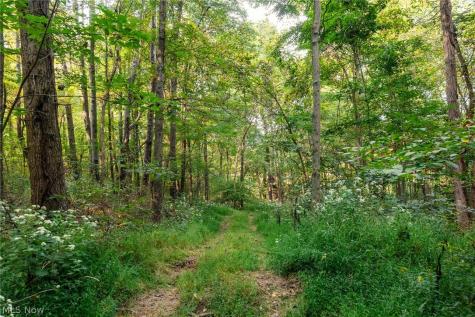 10772 Lawndell Road SW Navarre OH 44662