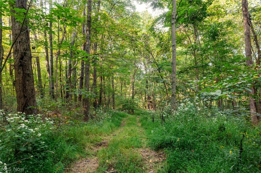 10772 Lawndell Road SW Navarre OH 44662
