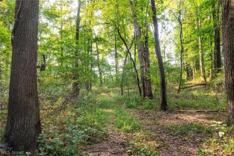 10772 Lawndell Road SW Navarre OH 44662