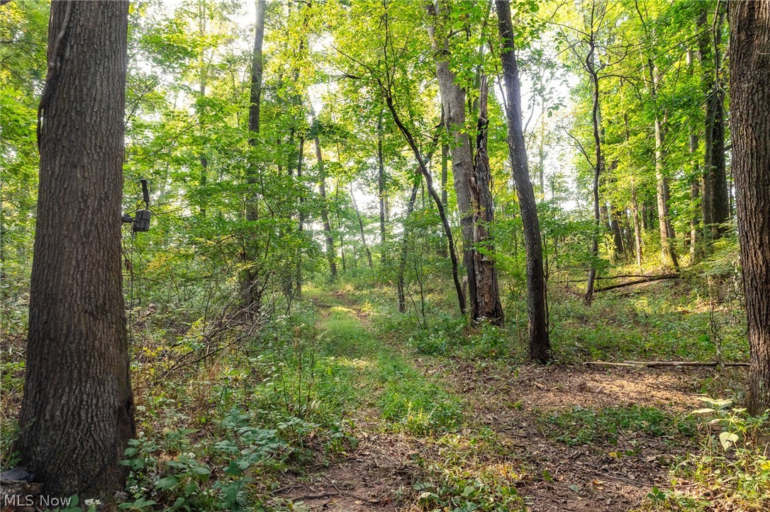 10772 Lawndell Road SW Navarre OH 44662