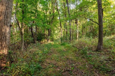 10772 Lawndell Road SW Navarre OH 44662