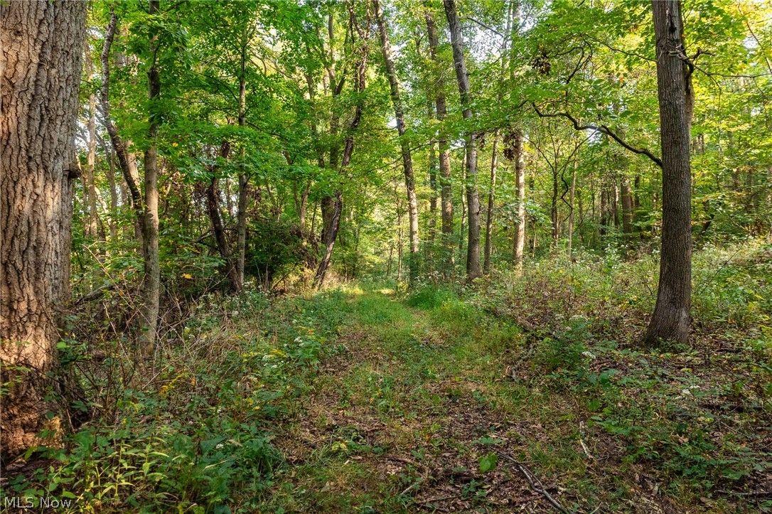 10772 Lawndell Road SW Navarre OH 44662