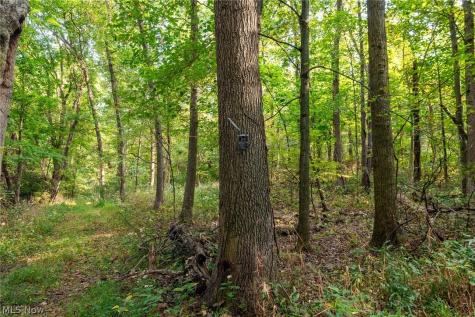 10772 Lawndell Road SW Navarre OH 44662