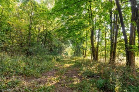 10772 Lawndell Road SW Navarre OH 44662