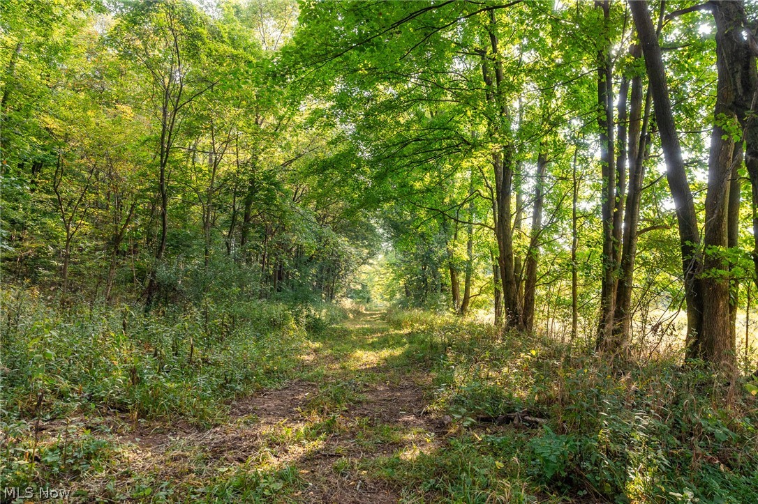 10772 Lawndell Road SW Navarre OH 44662