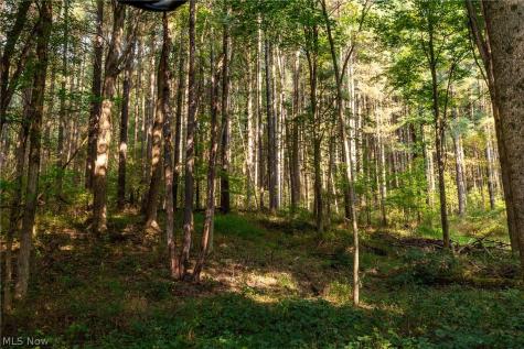 10772 Lawndell Road SW Navarre OH 44662