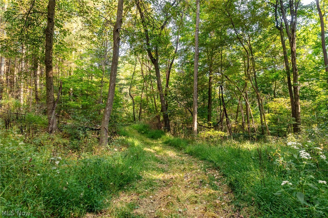 10772 Lawndell Road SW Navarre OH 44662