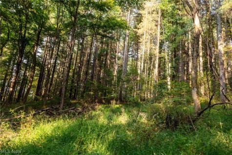 10772 Lawndell Road SW Navarre OH 44662