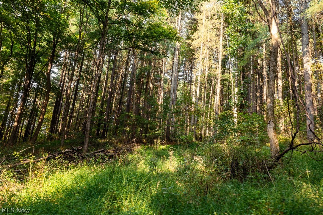 10772 Lawndell Road SW Navarre OH 44662