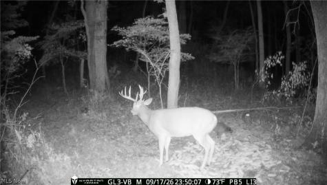 10772 Lawndell Road SW Navarre OH 44662