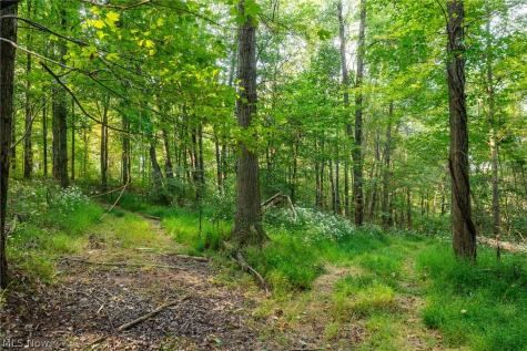 10772 Lawndell Road SW Navarre OH 44662
