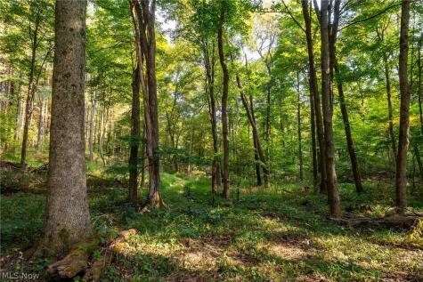 10772 Lawndell Road SW Navarre OH 44662