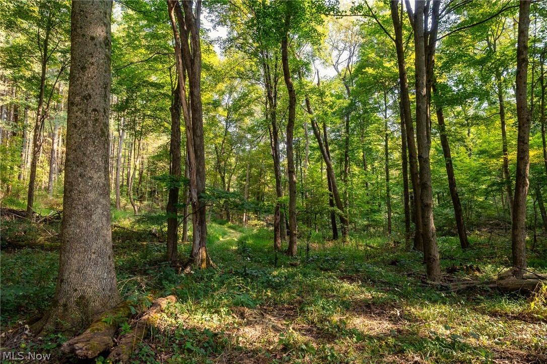 10772 Lawndell Road SW Navarre OH 44662