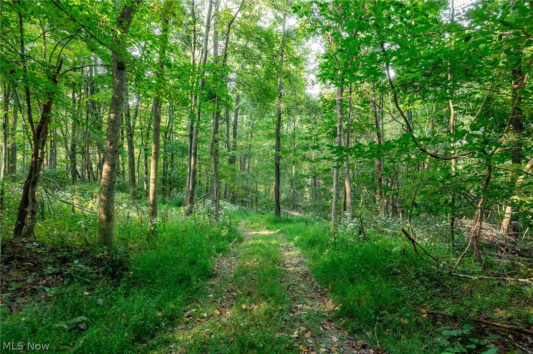 10772 Lawndell Road SW Navarre OH 44662