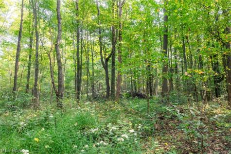10772 Lawndell Road SW Navarre OH 44662