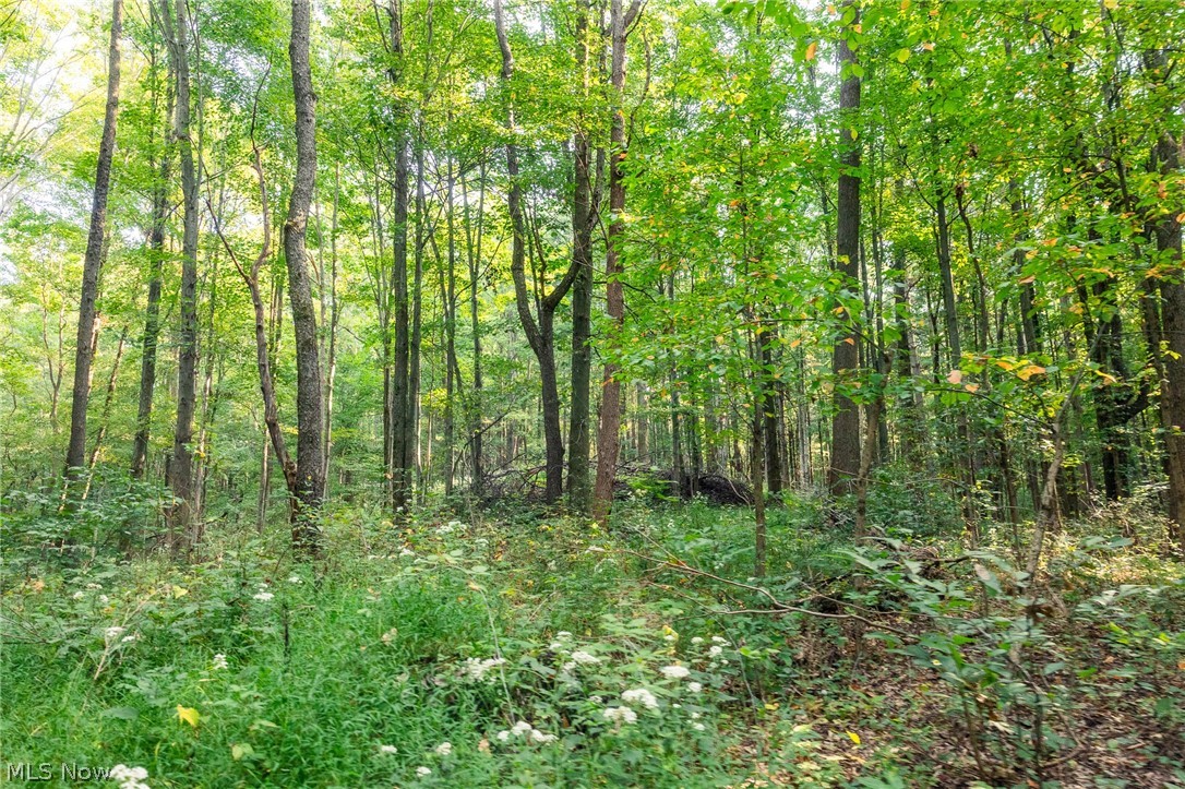 10772 Lawndell Road SW Navarre OH 44662