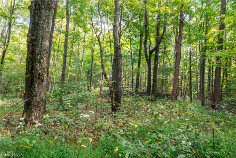 10772 Lawndell Road SW Navarre OH 44662
