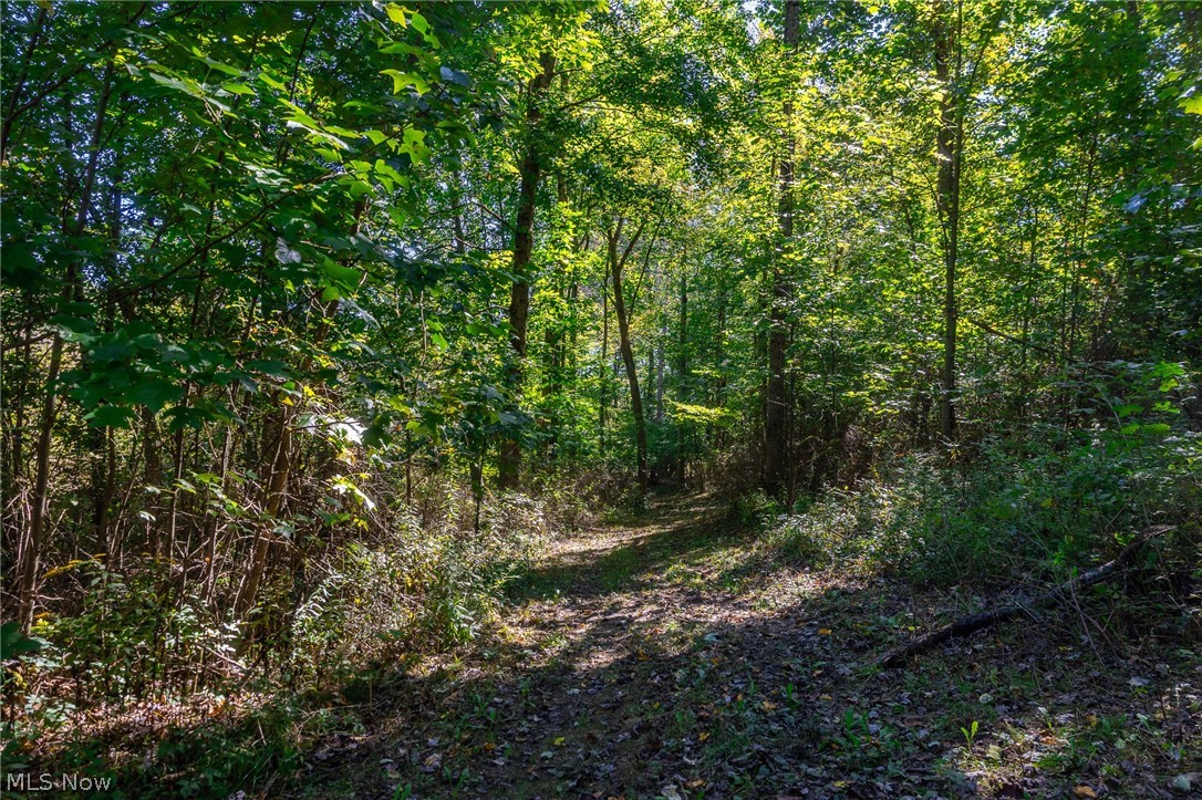 NE Baird Avenue Paris OH 44669