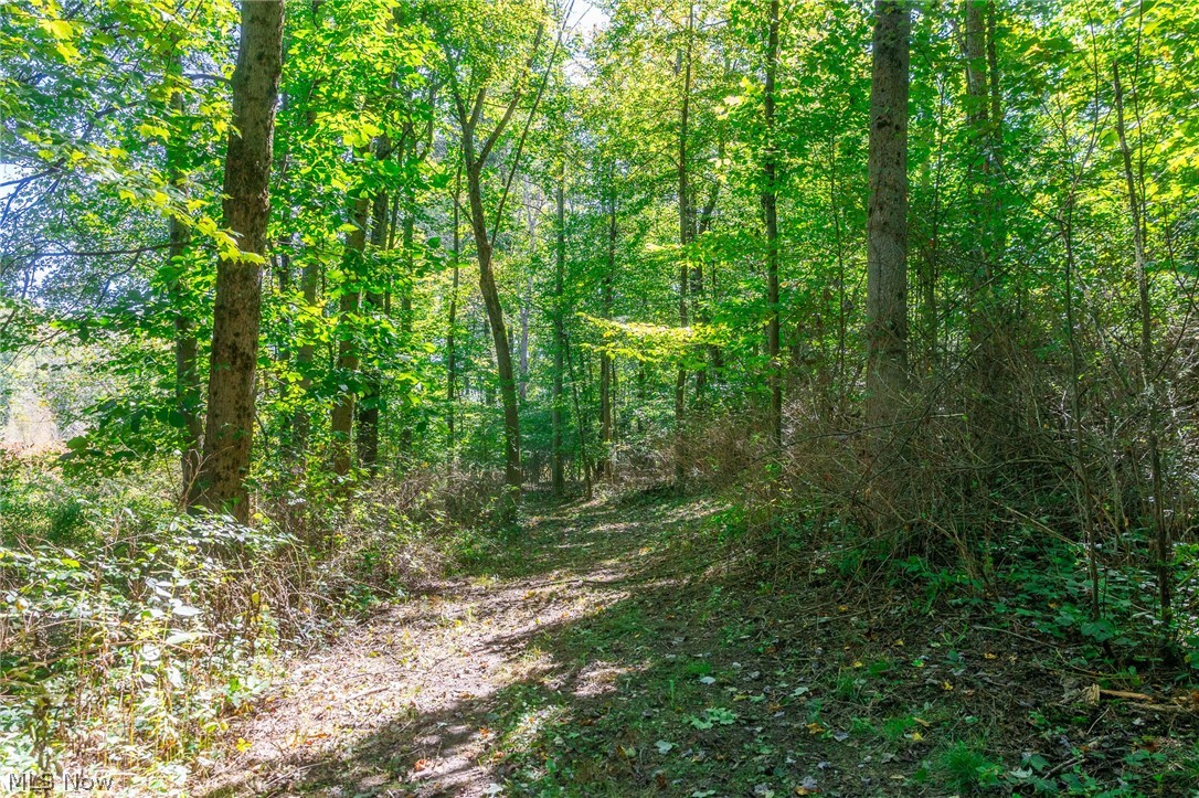 NE Baird Avenue Paris OH 44669