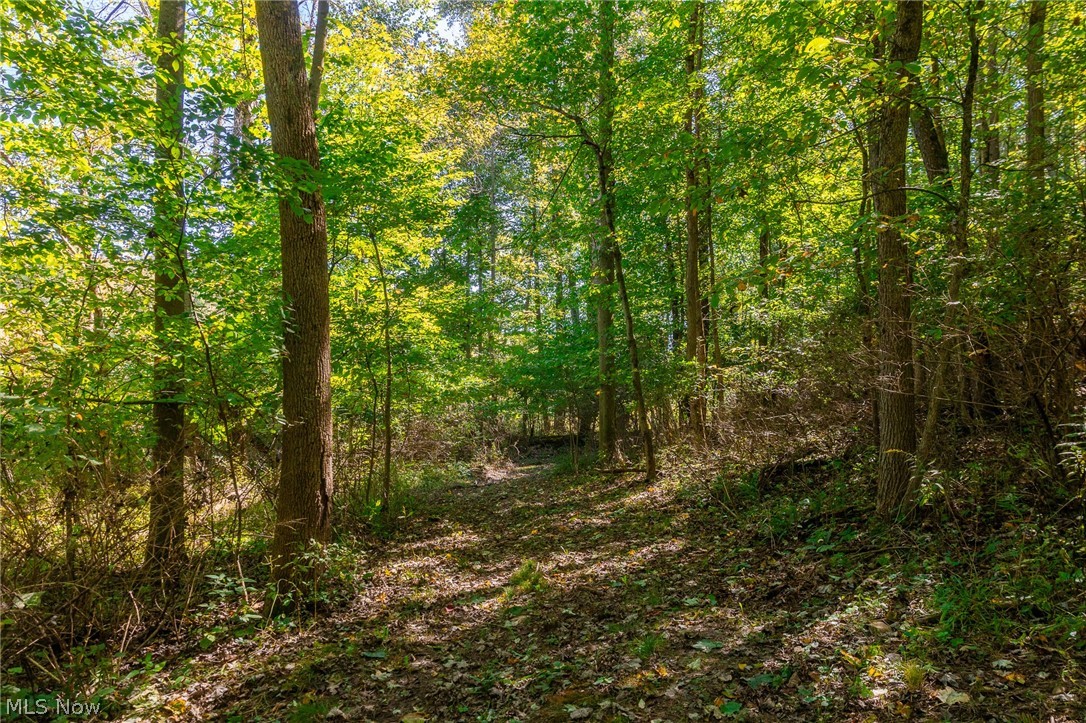 NE Baird Avenue Paris OH 44669
