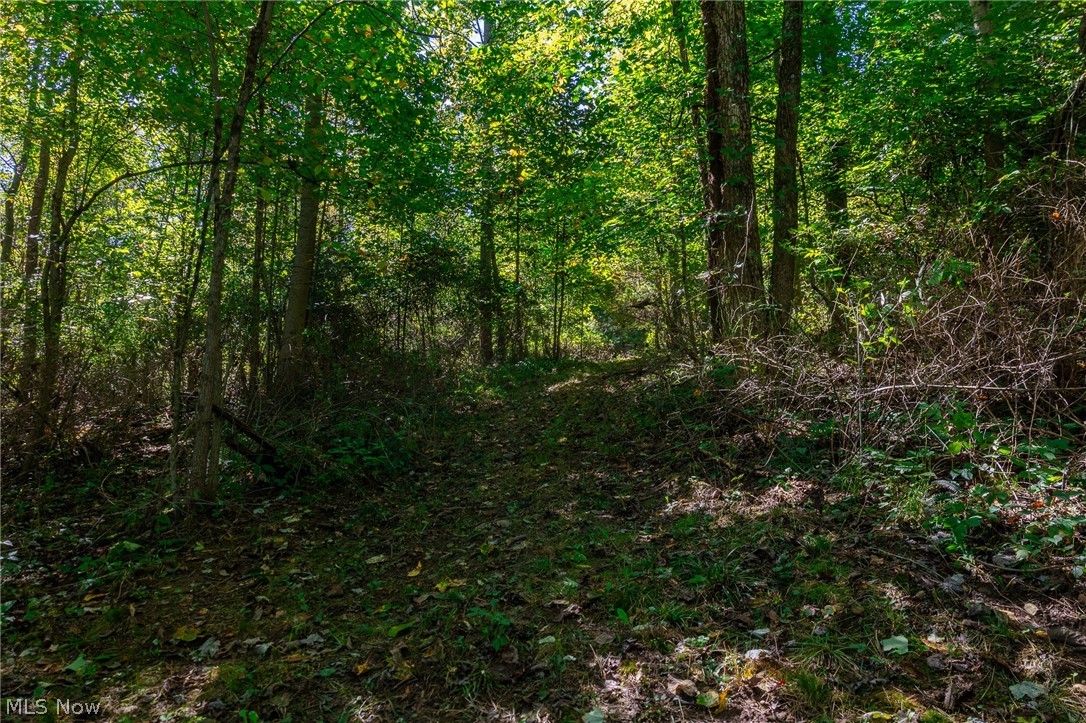 NE Baird Avenue Paris OH 44669