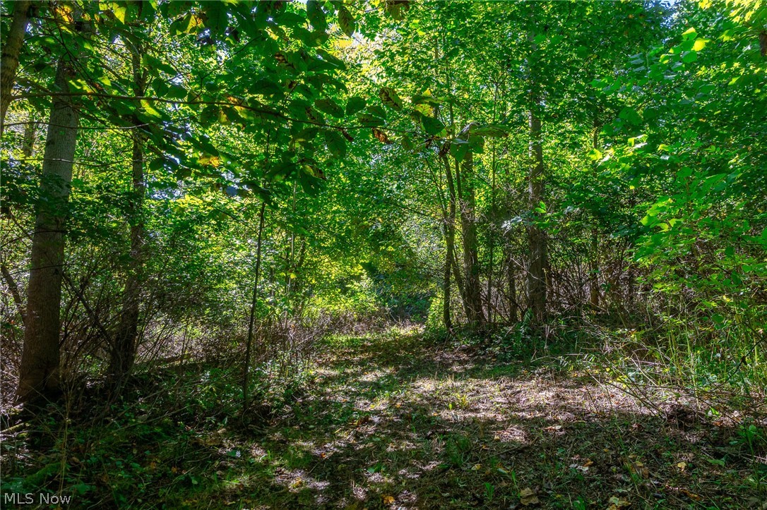 NE Baird Avenue Paris OH 44669