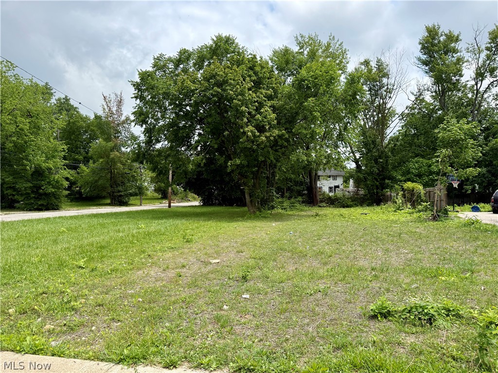 3313 E 126th Street Cleveland OH 44120