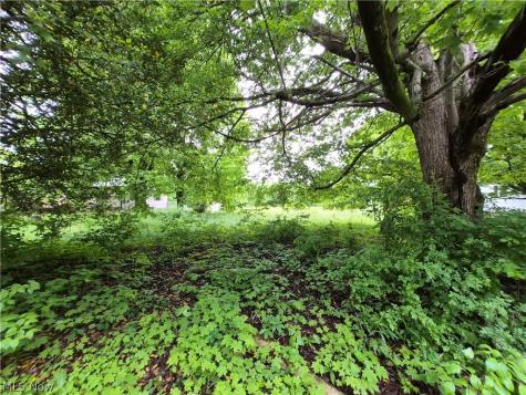 Newell Ledge Road Garrettsville OH 44231