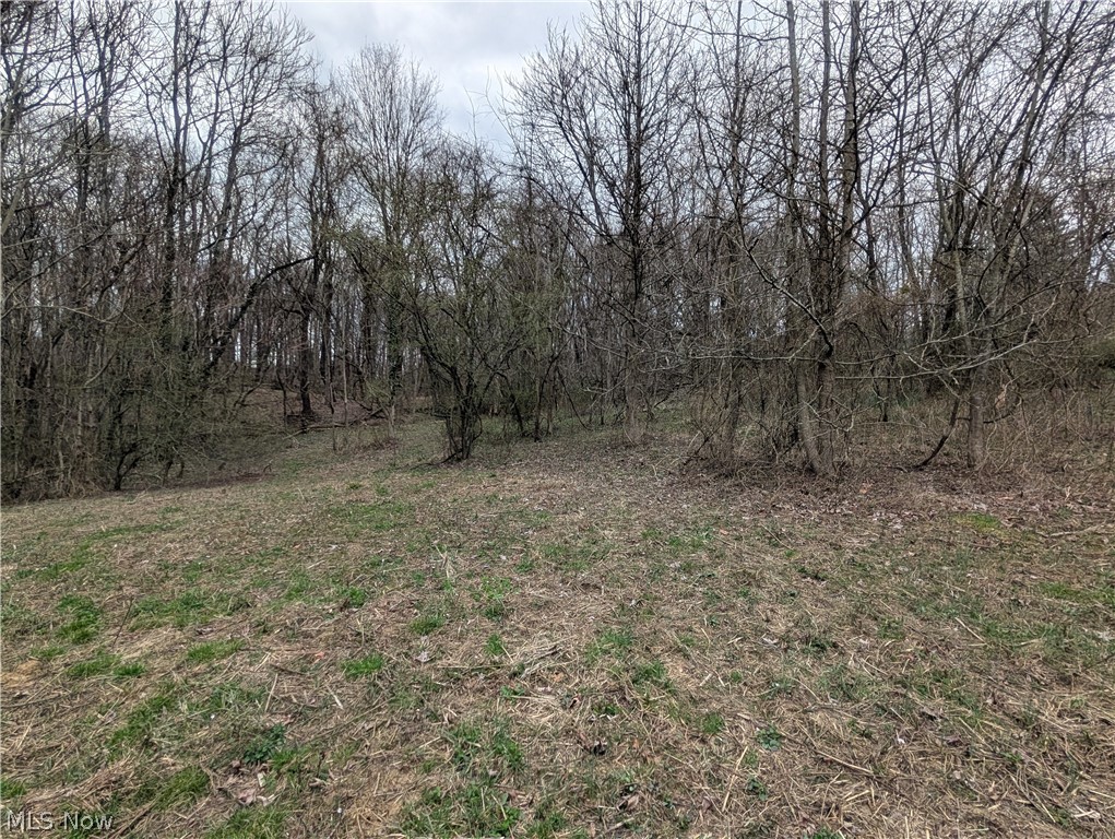 North Somerset OH 43783