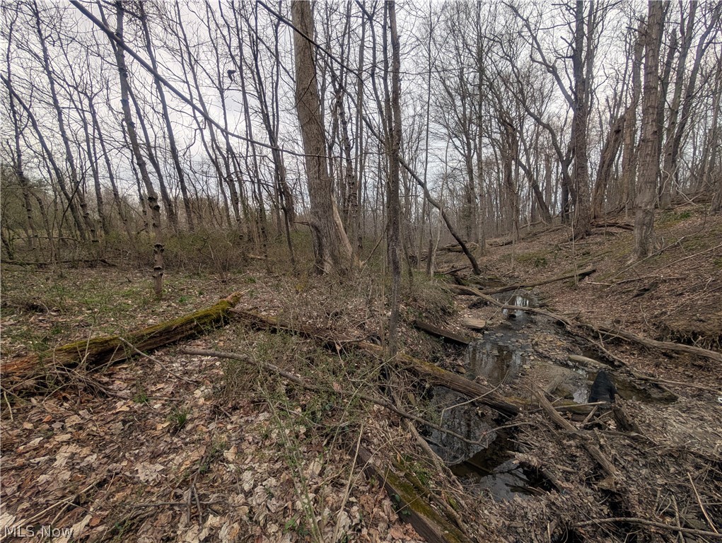 North Somerset OH 43783