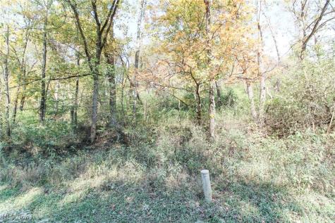 Lot 3 Brooks Road Marietta OH 45750