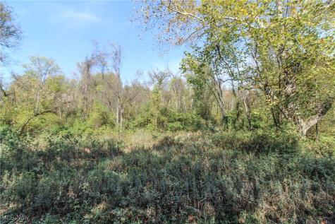 Lot 3 Brooks Road Marietta OH 45750