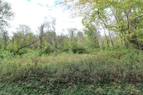 Lot 3 Brooks Road Marietta OH 45750