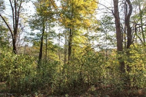 Lot 3 Brooks Road Marietta OH 45750