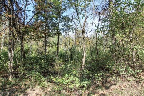 Lot 3 Brooks Road Marietta OH 45750